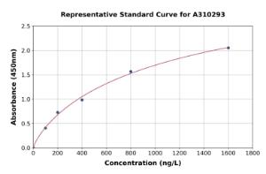 Representative standard curve for Human EEF2/Elongation Factor 2 ELISA kit (A310293)