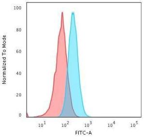 Flow cytometric analysis of Raji cells using Anti-HLA A Antibody [108-2C5] followed by Goat Anti-Mouse IgG (CF&#174; 488) (Blue). Isotype Control (Red)