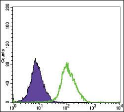 Anti-MAPK6 Mouse Monoclonal Antibody [clone: 4E8]