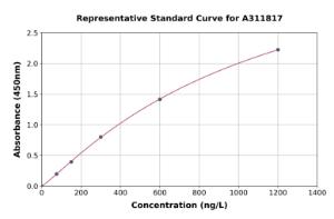 Representative standard curve for Mouse beta Defensin 1 ELISA kit (A311817)