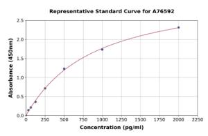 Representative standard curve for Human GALNS ml Chondroitinase ELISA kit (A76592)