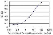 Anti-RNF11 Mouse Monoclonal Antibody [clone: 4G7]