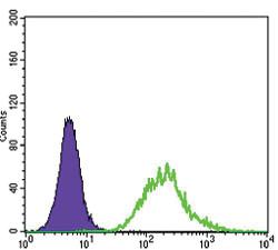 Anti-MATK Mouse Monoclonal Antibody [clone: 9D7]