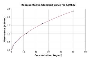 Representative standard curve for Rat PON1 ELISA kit (A80132)