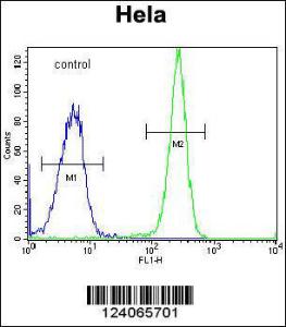 Anti-HYAL2 Rabbit Polyclonal Antibody