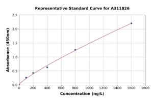 Representative standard curve for Human HS3ST2 ELISA kit (A311826)