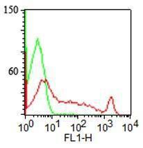 Flow cytometric analysis of human lymphocytes with Anti-CDw75 Antibody [LN-1] (Red). Isotype Control (Green). PPI negative population analyzed