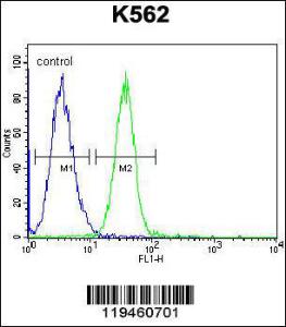 Anti-SPB4 Rabbit Polyclonal Antibody (AP (Alkaline Phosphatase))