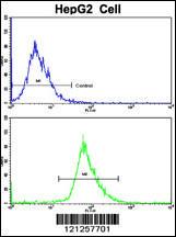 Anti-RPS15 Rabbit Polyclonal Antibody (Biotin)