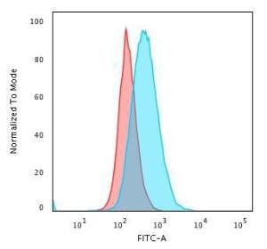 Flow cytometric analysis of PFA fixed Raji cells using Anti-HLA DP Antibody [BRA-FB6] followed by Goat Anti-Mouse IgG (CF and #174; 488) (Blue). Isotype Control (Red)