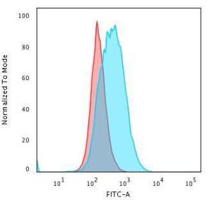 Flow cytometric analysis of human Raji cells using Anti-HLA DP Antibody [SPM421] followed by Goat Anti-Mouse IgG (CF&#174; 488) (Blue). Isotype Control (Red)