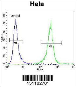 Anti-DNAJB6 Rabbit Polyclonal Antibody (APC (Allophycocyanin))