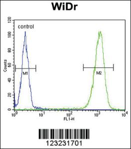 Anti-TSPAN33 Rabbit Polyclonal Antibody