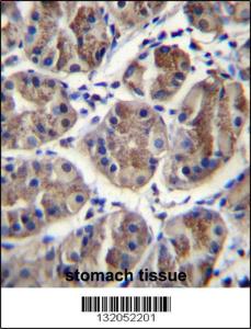 Anti-EIF3A Rabbit Polyclonal Antibody (FITC (Fluorescein Isothiocyanate))