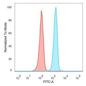 Flow cytometric analysis of PFA-fixed HeLa cells using Anti-SIRT3 Antibody [PCRP-SIRT3-1C10] followed by Goat Anti-Mouse IgG (CF&#174; 488) (Blue) Isotype Control (Red)