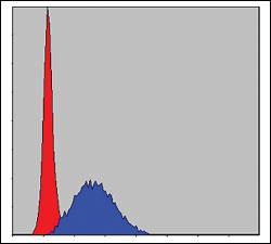 Anti-MCM2 Mouse Monoclonal Antibody [clone: 2B3]