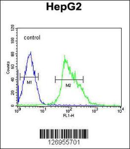 Anti-USP17L2 Rabbit Polyclonal Antibody (FITC (Fluorescein Isothiocyanate))