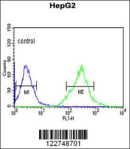 Anti-AFMID Rabbit Polyclonal Antibody (HRP (Horseradish Peroxidase))