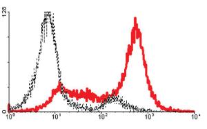 Anti-FASLG Mouse Monoclonal Antibody [clone: SB93a1]