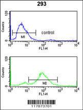 Anti-TNPO1 Rabbit Polyclonal Antibody (PE (Phycoerythrin))