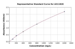 Representative standard curve for Human POTEE ELISA kit (A311828)