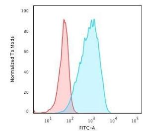 Flow cytometric analysis of Raji cells using Anti-HLA DP Antibody [HLA-DPB1/2862R] followed by Goat Anti-Rabbit IgG (CF&#174; 488) (Blue). Isotype Control (Red).