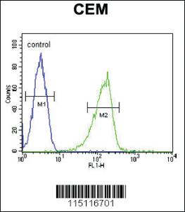 Anti-ZIC3 Rabbit Polyclonal Antibody