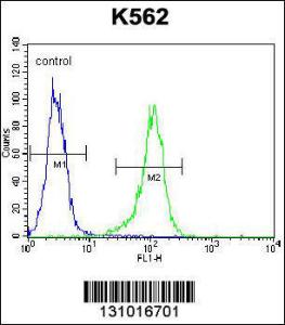 Anti-LIPC Rabbit Polyclonal Antibody (FITC (Fluorescein Isothiocyanate))