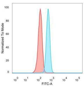 Flow cytometric analysis of PFA fixed HeLa cells using Anti-ThPok Antibody [PCRP-ZBTB7B-1B6] followed by Goat Anti-Mouse IgG (CFand#174; 488) (Blue). Unstained cells (red)