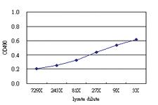 Anti-SNX12 Antibody Pair