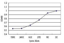 Anti-BRD3 Antibody Pair