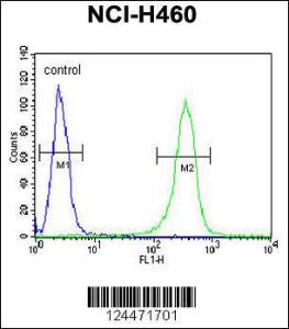 Anti-ZNF473 Rabbit Polyclonal Antibody (Biotin)