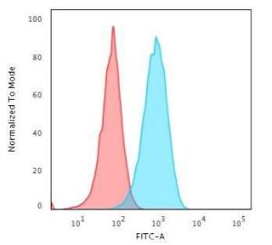 Flow cytometric analysis of Raji cells using Anti-HLA DRA Antibody [19-26.1] followed by Goat Anti-Mouse IgG (CF and #174; 488) (Blue). Isotype Control (Red)