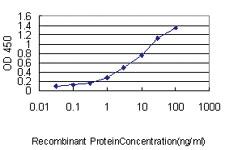 Anti-DNAJC7 Mouse Monoclonal Antibody [clone: 4G6-G3]