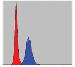 Anti-MMP9 Mouse Monoclonal Antibody [clone: 5C3]