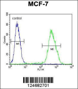 Anti-LMO4 Rabbit Polyclonal Antibody (AP (Alkaline Phosphatase))