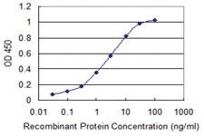 Anti-CALM3 Mouse Monoclonal Antibody [clone: 1E2]