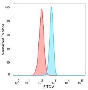 Flow cytometric analysis of PFA fixed HeLa cells using Anti-ZBTB7B Antibody [PCRP-ZBTB7B-1F7] followed by Goat Anti-Mouse IgG (CF&#174; 488) (Blue). Unstained cells (red)