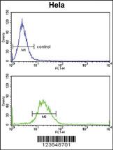 Anti-SDC3 Rabbit Polyclonal Antibody