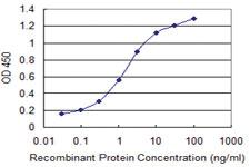 Anti-STAB1 Mouse Monoclonal Antibody [clone: 4G9]