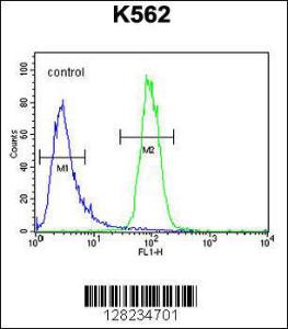 Anti-DPY19L1 Rabbit Polyclonal Antibody