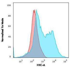 Flow cytometric analysis of PFA fixed Jurkat cells using Anti-ZAP70 Antibody [ZAP70/2035] followed by Goat Anti-Mouse IgG (CF&#174; 488) (Blue) Isotype Control (Red)