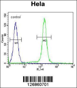 Anti-IDUA Rabbit Polyclonal Antibody (FITC (Fluorescein Isothiocyanate))