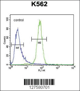 Anti-C6orf58 Rabbit Polyclonal Antibody