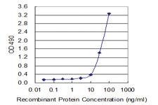 Anti-CD40 Mouse Monoclonal Antibody (Biotin)