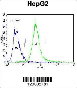 Anti-SPDYE1 Rabbit Polyclonal Antibody (APC (Allophycocyanin))