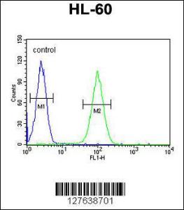 Anti-LNPEP Rabbit Polyclonal Antibody (FITC (Fluorescein Isothiocyanate))