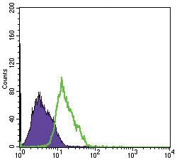 Anti-MSI1 Mouse Monoclonal Antibody [clone: 2A12]