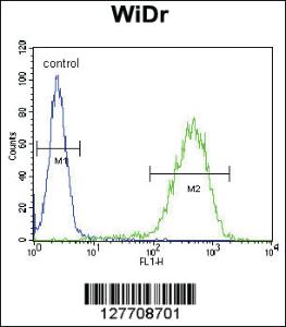 Anti-CHCHD2 Rabbit Polyclonal Antibody