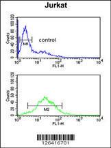 Anti-TPC6A Rabbit Polyclonal Antibody (Biotin)